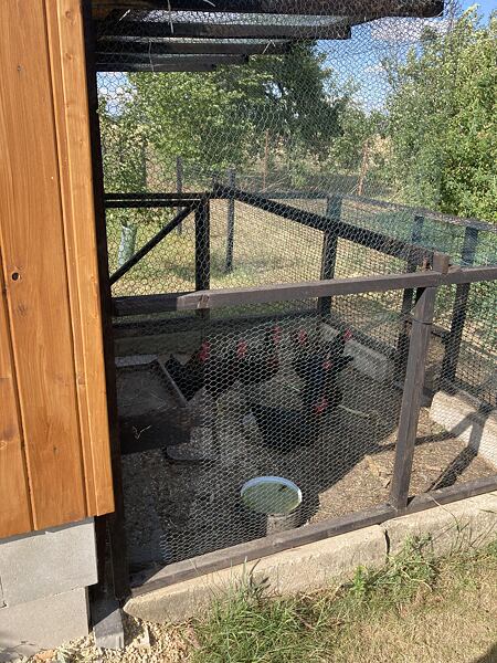 jak postavit kurník pro slepice