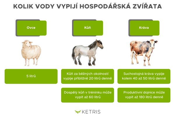 Kolik vody vypijí hospodářská zvířata (ovce, kůň, kráva)