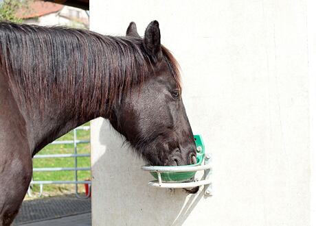 Vyhřívané a míčové napáječky - průvodce výběrem