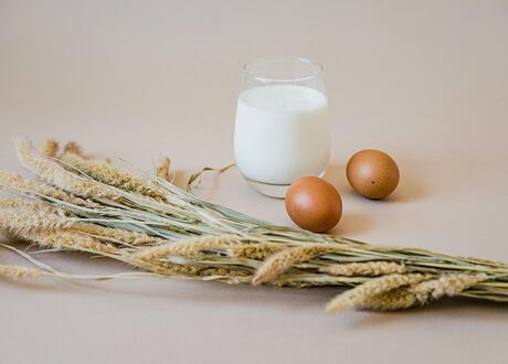 Ekologické farmy v ČR: Kde koupit čerstvé a poctivé potraviny