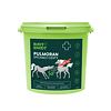 Root & Snoot Pulmoran légzőszervi eledel lovaknak 1 kg