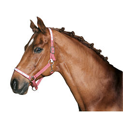 Gumičky do hřívy bílé 800ks/bal