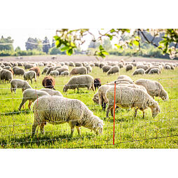 Síť pro ovce, výška 108 cm, délka 50 m, jednoduchý hrot, oranžová