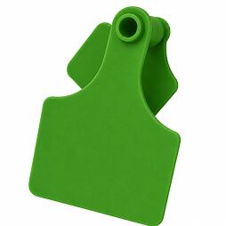 Primaflex füljelző leírás nélkül, zöld, 3-as méret, 25 db/csomag