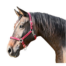 Ohlávka nylonová Covalliero Mustang, červená/černá