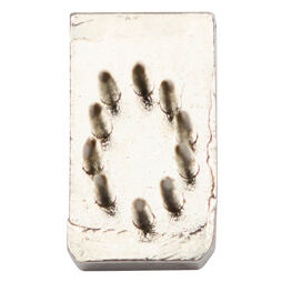 Tetovací číslo, špice, 7mm, jednotlivé