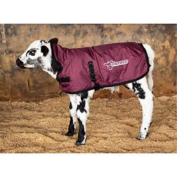 Vesta Thermoo vel. S