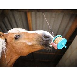 Pamlsek pro koně LIKIT Granola, jablko, 550 g