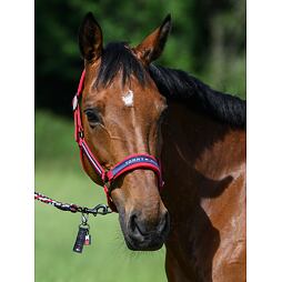 Ohlávka s vodítkem/set TOMMY HILFIGER Yale, kolekce S/S 2025, červená