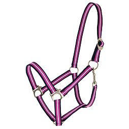 Ohlávka Hippo Covalliero S/S 2026 modrá/light berry