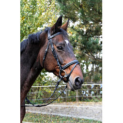 Uzdečka kožená Covalliero Classic, černá, vel. Pony