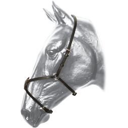 Mexický nánosník KenTaur, hnědá, vel. Full