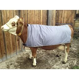 Deka pro krávy