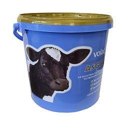 AS GOLD, kbelík 5kg, elektrolyt pro telata