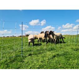 Síť pro ovce, kozy TitanNet Premium Vario +/- výška 122 cm, délka 50 m, jednoduchý hrot, modro-bílá