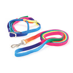 Postroj pro kočky s vodítkem 10 mm/120 cm, duhový