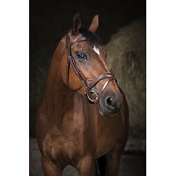 Uzdečka kožená Norton Pro Vaque, hnědá