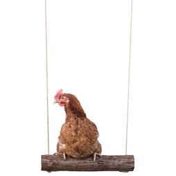 Bidýlko pro slepice 39 x 5 cm