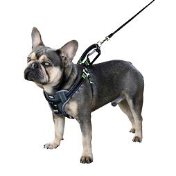 Harness biztonsági kutyahám, fekete