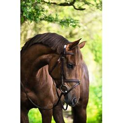 Uzdečka kožená Covalliero Classic, hnědá, vel. Full