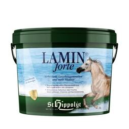 Lamin forte 3kg