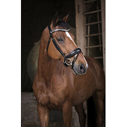 Uzdečka kožená Norton Pro Strass, černá