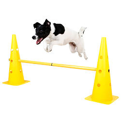 Set agility překážek pro psy, žlutý