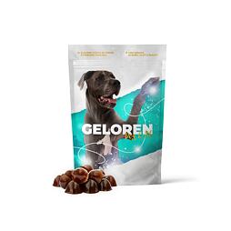 Geloren L-XL ízületi táp kutyáknak 420g