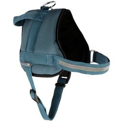 Postroj pro psy Maestro 2.0., modrý