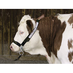 Ohlávka pro skot TREVIRA