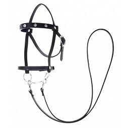 Kompletní uzdečka pro hobby horse LarDen z koženky, s kamínky, vel. M