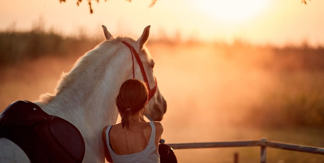 7 tipů pro podzimní péči o koně