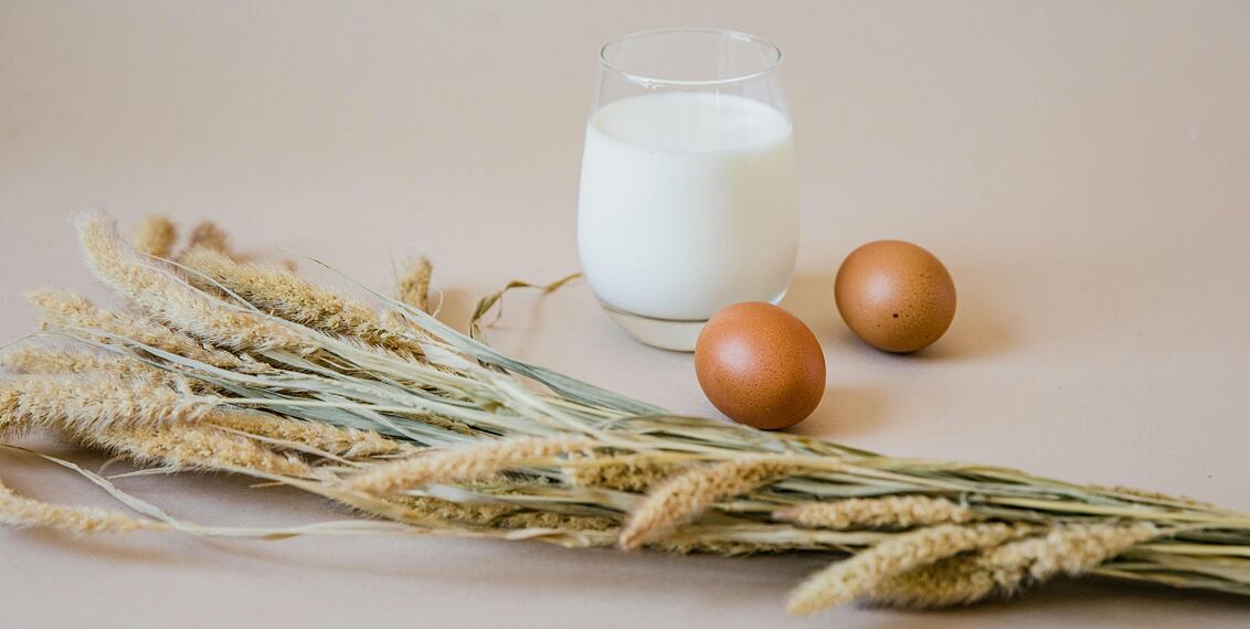 Ekologické farmy v ČR: Kde koupit čerstvé a poctivé potraviny