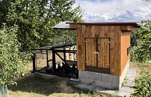 Chov slepic pro úplné začátečníky