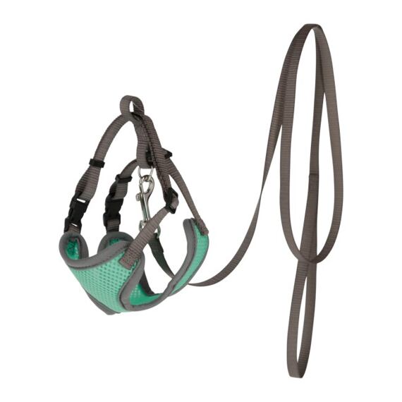 Postroj pro kočky s vodítkem, 120 cm x 10 mm, tyrkysový