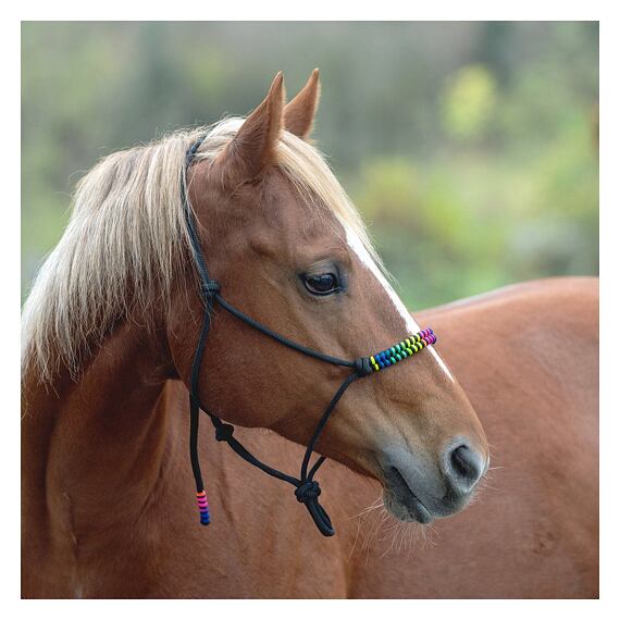 Provazová ohlávka Passion 4Q, černá