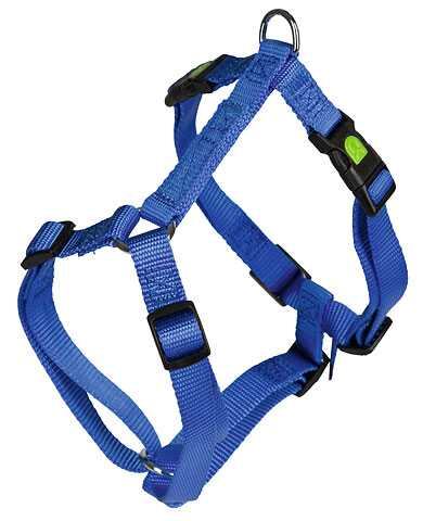 Postroj Miami pro psy, modrý