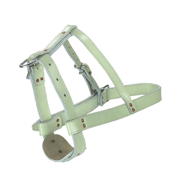 Ohlávka pro býky Top Quality