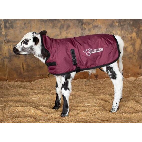 Vesta Thermoo vel. S