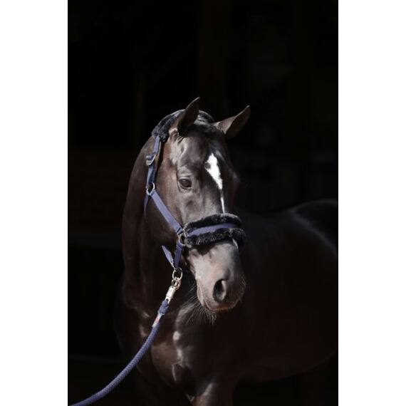 Ohlávka nylonová Covalliero ClassicSoft, tmavě modrá