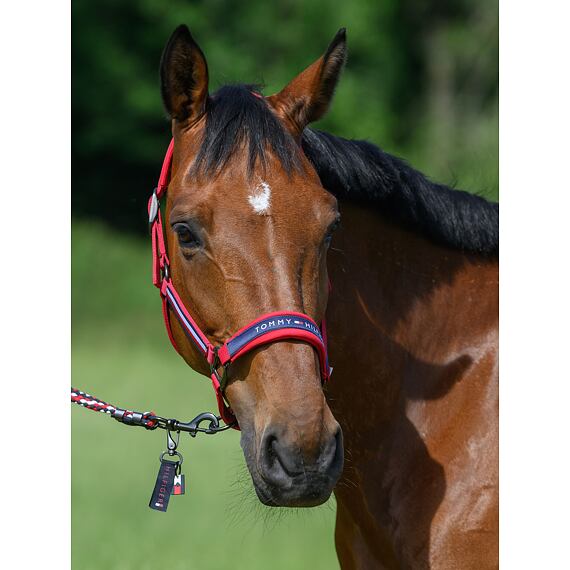 Ohlávka s vodítkem/set TOMMY HILFIGER Yale, kolekce S/S 2025, červená