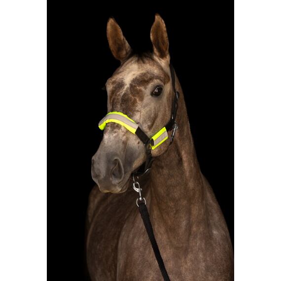 Fényvisszaverő szett kötőfékhez, kantárhoz Covalliero