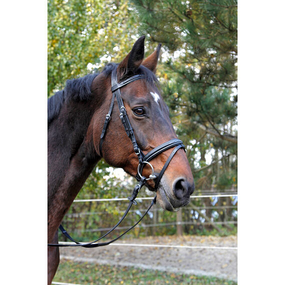 Uzdečka kožená Covalliero Classic, černá, vel. Pony