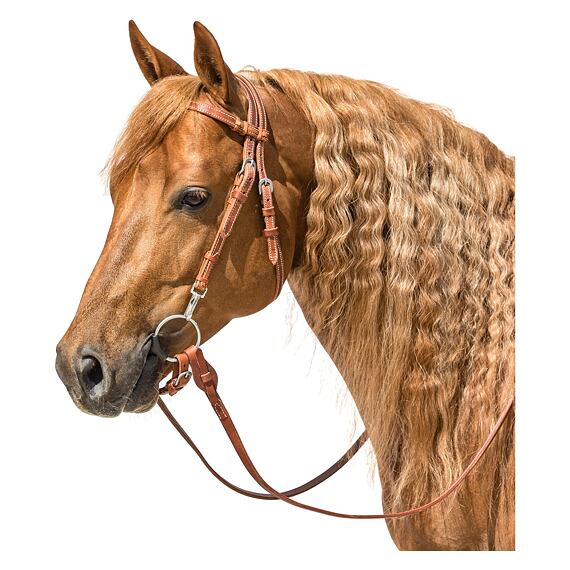 Uzdečka westernová LproWest Hayward