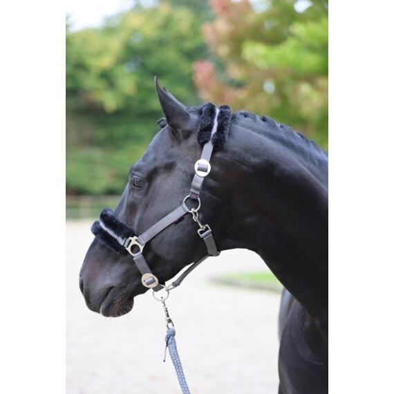 Ohlávka nylonová Covalliero ClassicSoft, stone