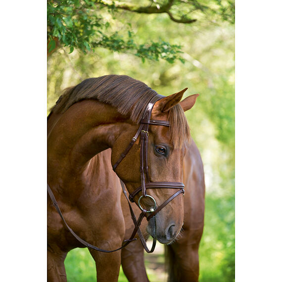 Uzdečka kožená Covalliero Classic, hnědá, vel. Cob