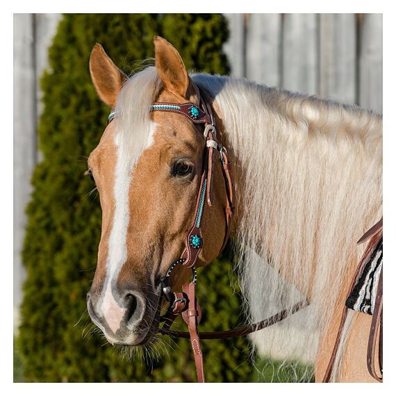 Uzdečka westernová LproWest Nashville