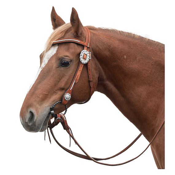 Westernová uzdečka Passion 4Q, hnědá