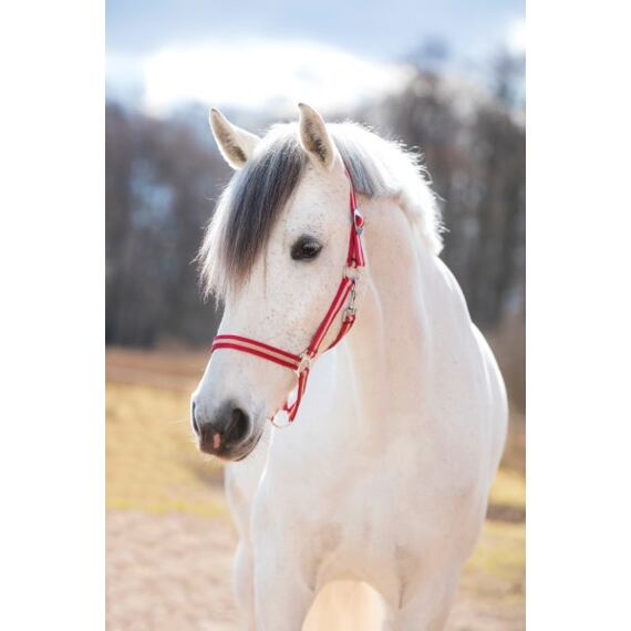 Ohlávka nylonová Covalliero Covalliero Hippo, bordo/béžová