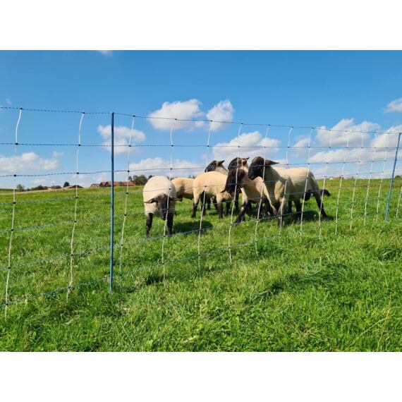 Síť pro ovce, kozy TitanNet Premium Vario +/- výška 108 cm, délka 50 m, jednoduchý hrot, modro-bílá